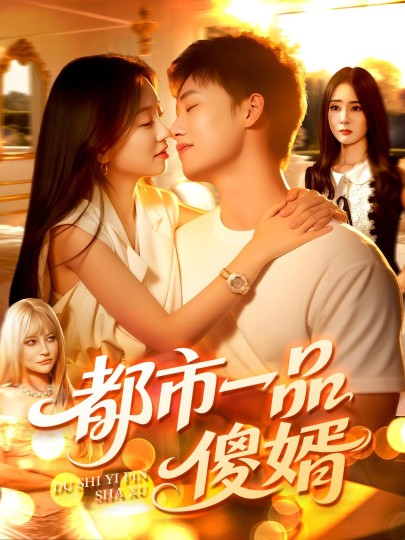 都市一品傻婿